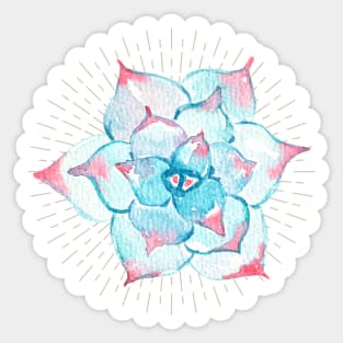 Watercolor Pink Blue Succulent Sticker